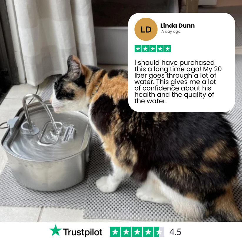 FurBuddies™ Cat Water Fountain Stainless Steel