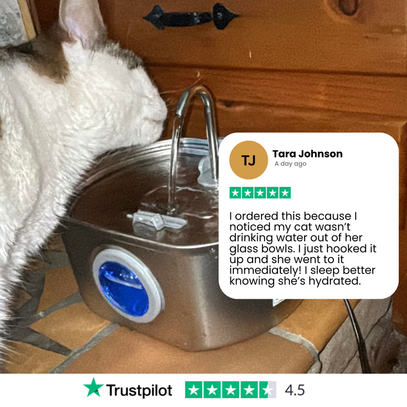 FurBuddies™ Cat Water Fountain Stainless Steel