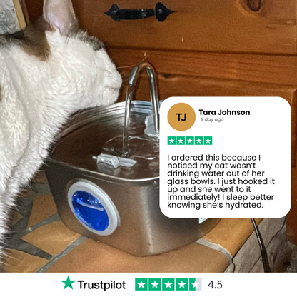 FurBuddies™ Cat Water Fountain Stainless Steel