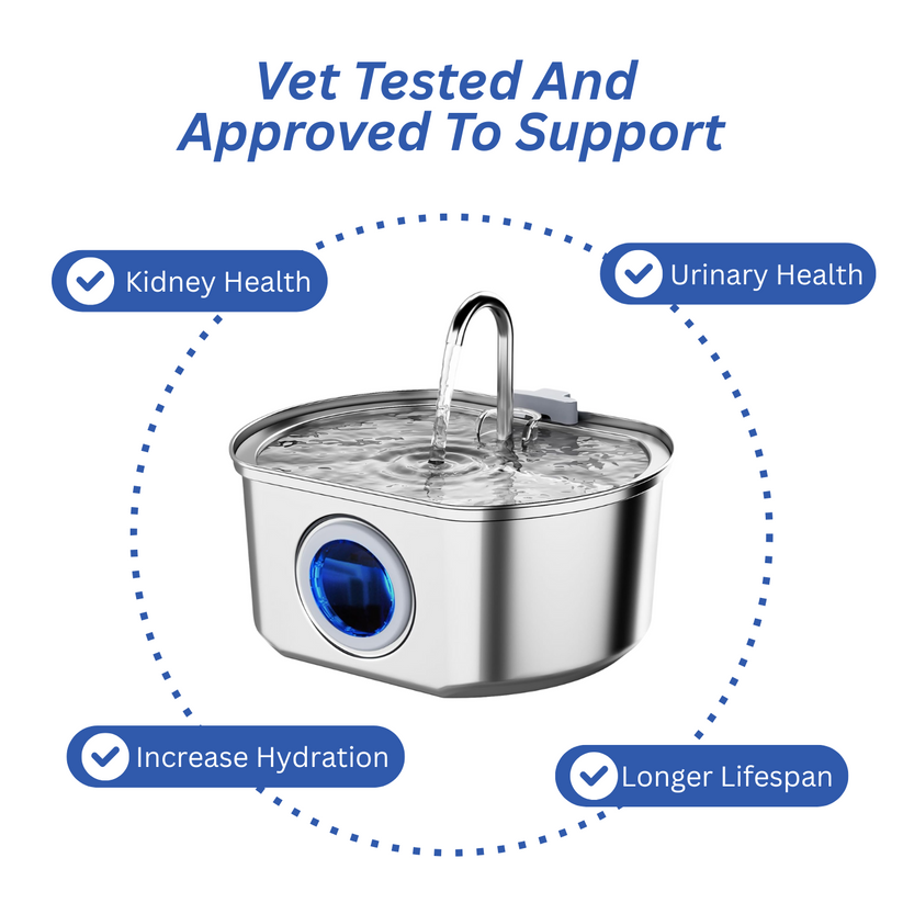 FurBuddies™ Cat Water Fountain Stainless Steel