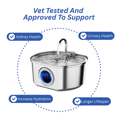 FurBuddies™ Cat Water Fountain Stainless Steel