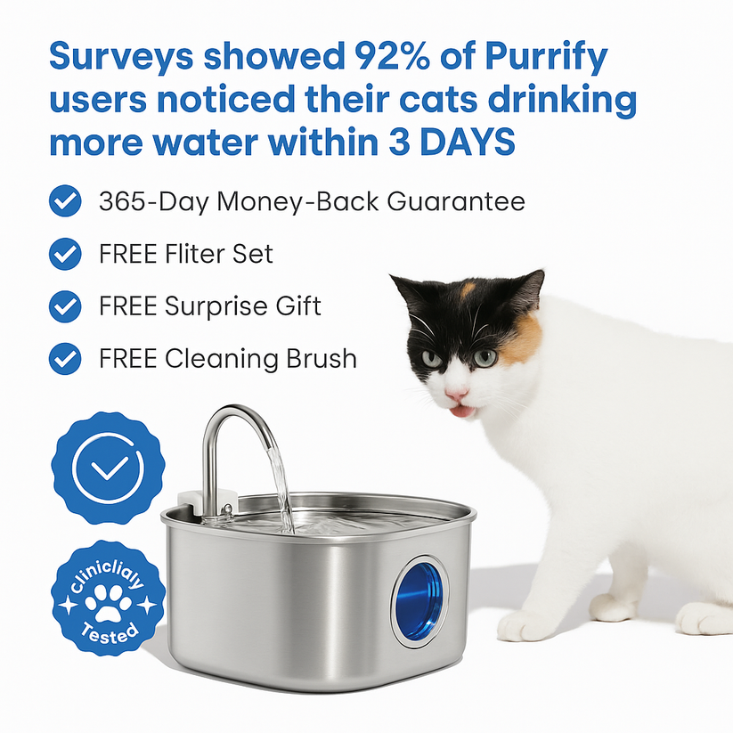 FurBuddies™ Cat Water Fountain Stainless Steel